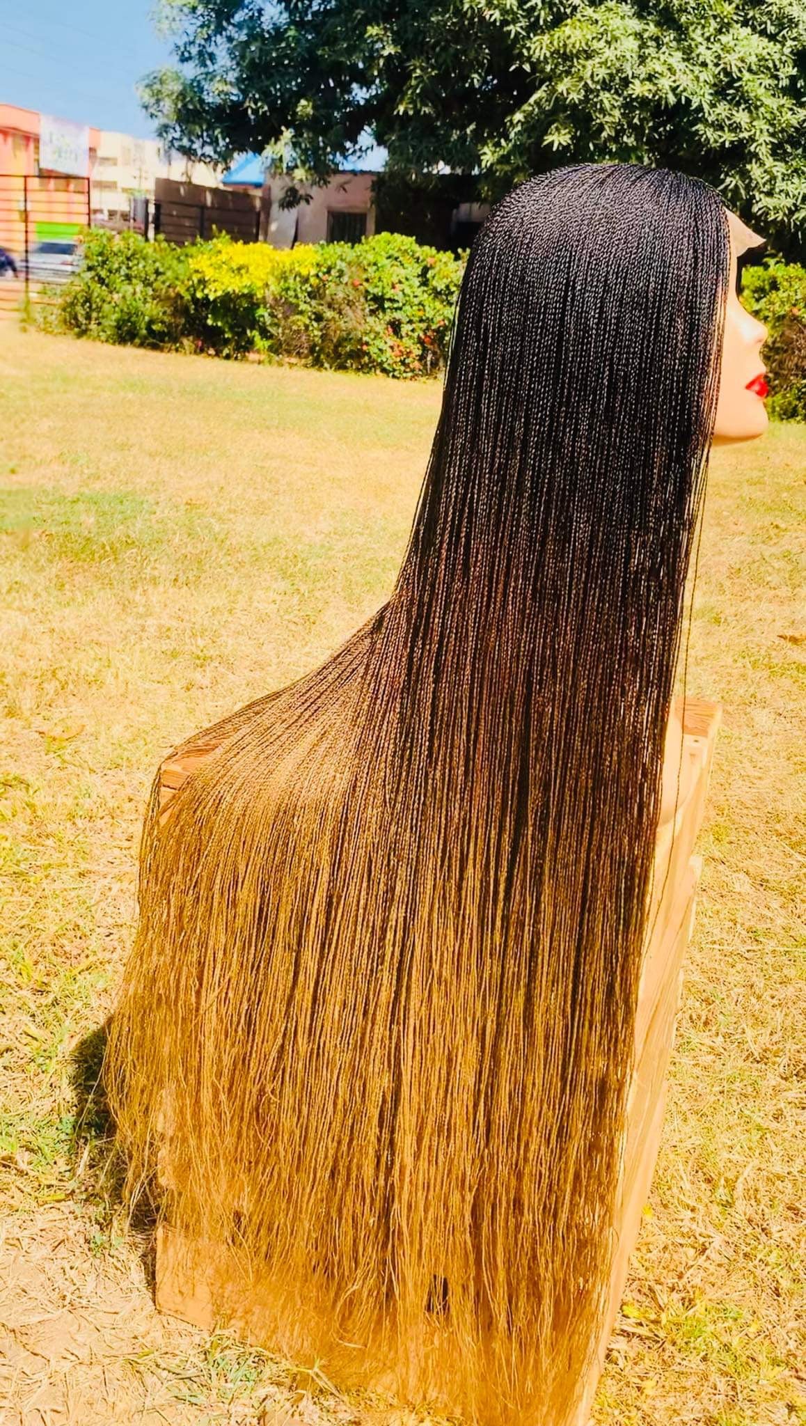 Braided Wig Units
